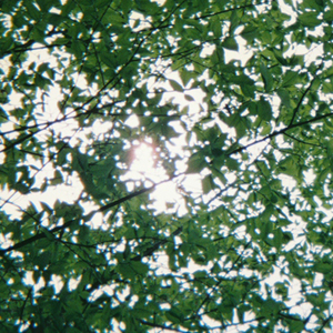 监控偷拍家庭性爱视频
