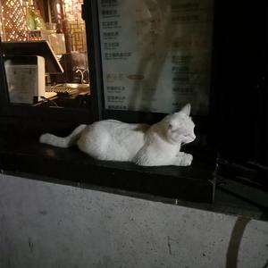 监控偷拍家庭性爱视频
